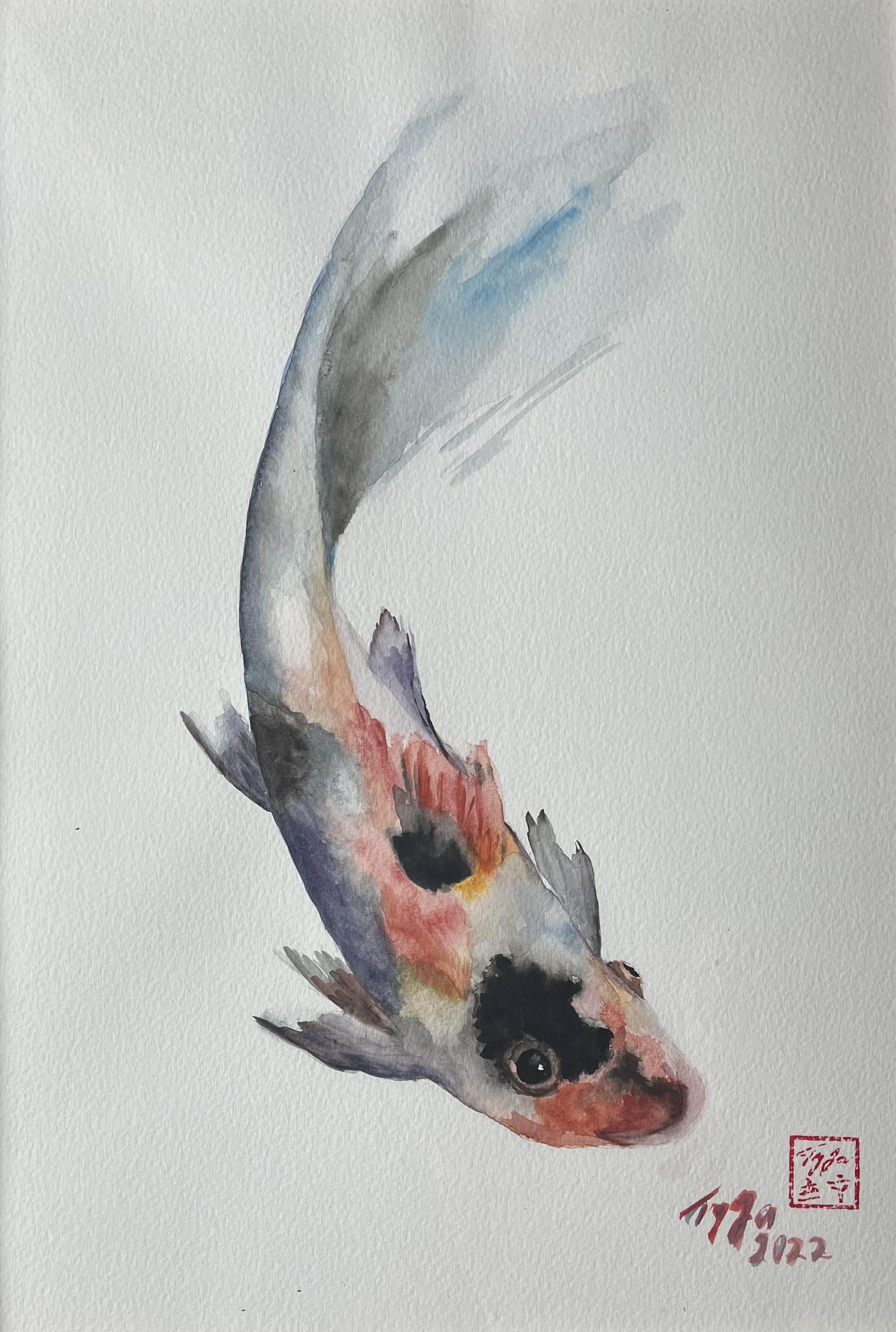 colorful Kapr cant be eaten